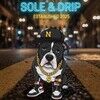 soleanddrip